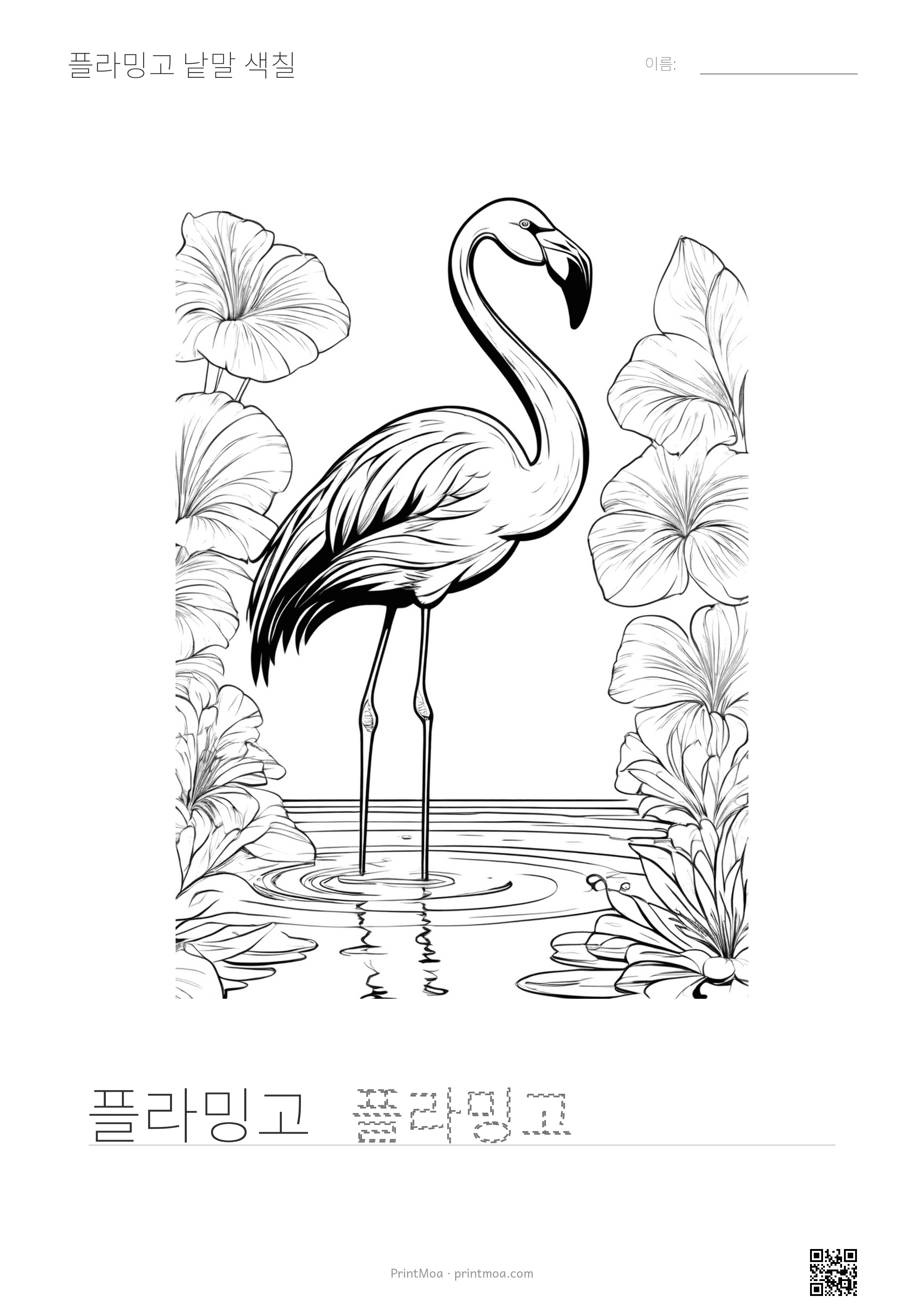 플라밍고 낱말 색칠