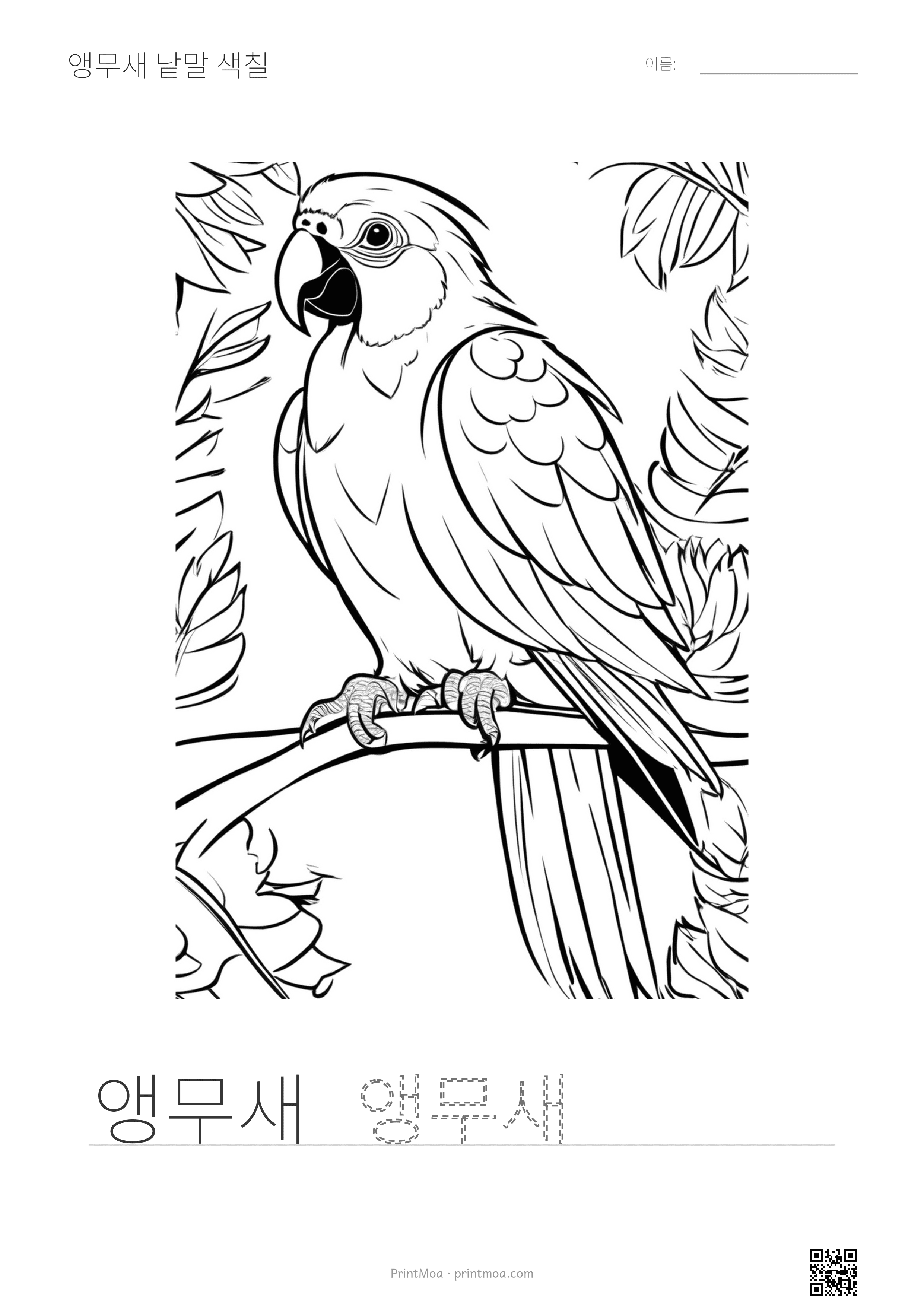 앵무새 낱말 색칠