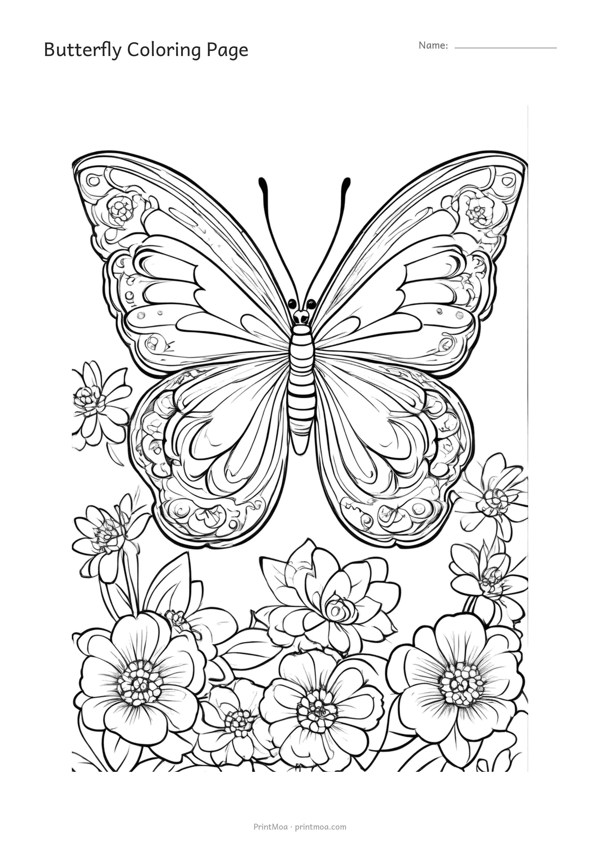 Butterfly Coloring Page