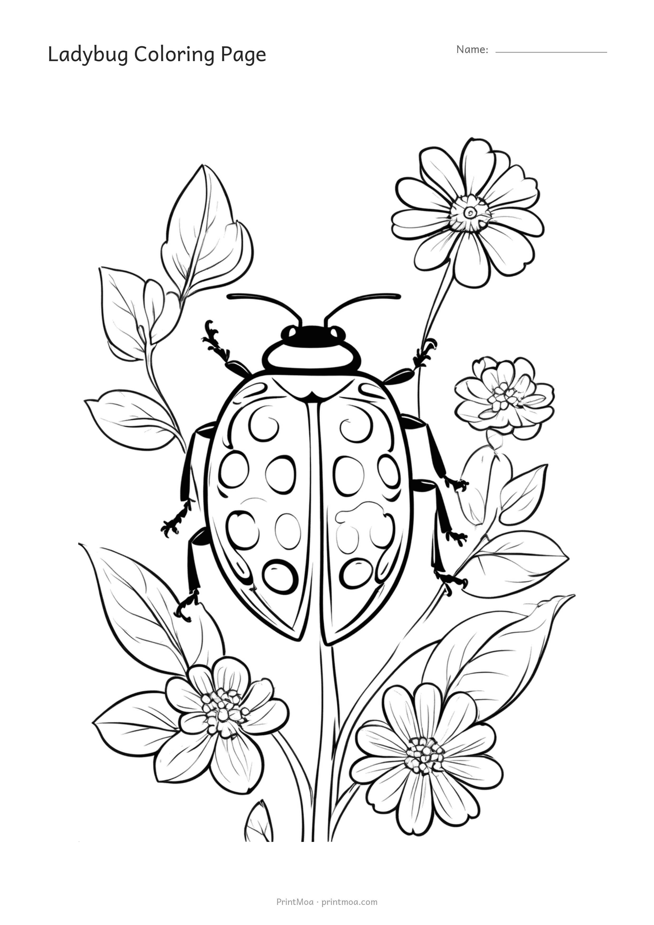 Ladybug Coloring Page