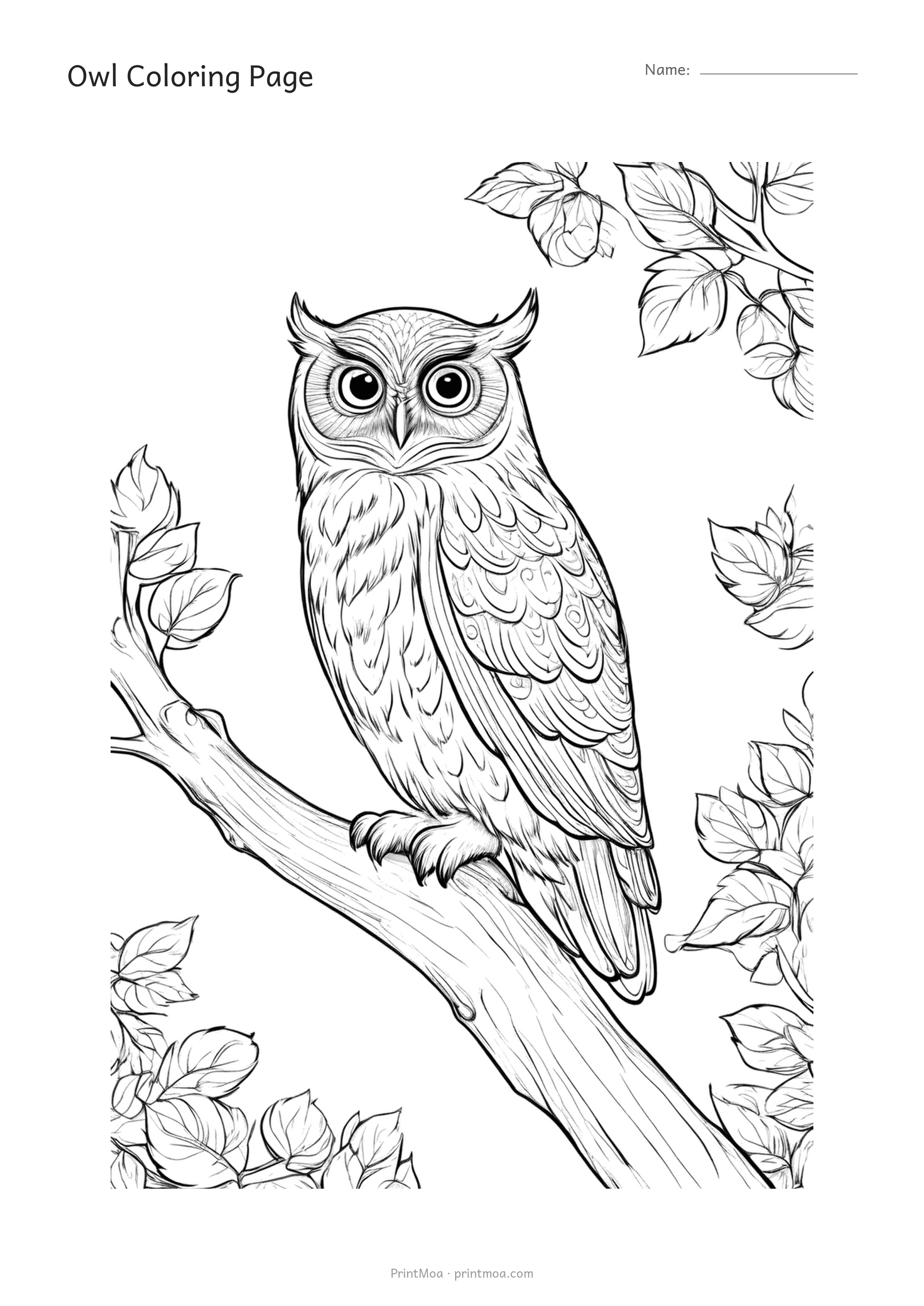 Owl Coloring Page