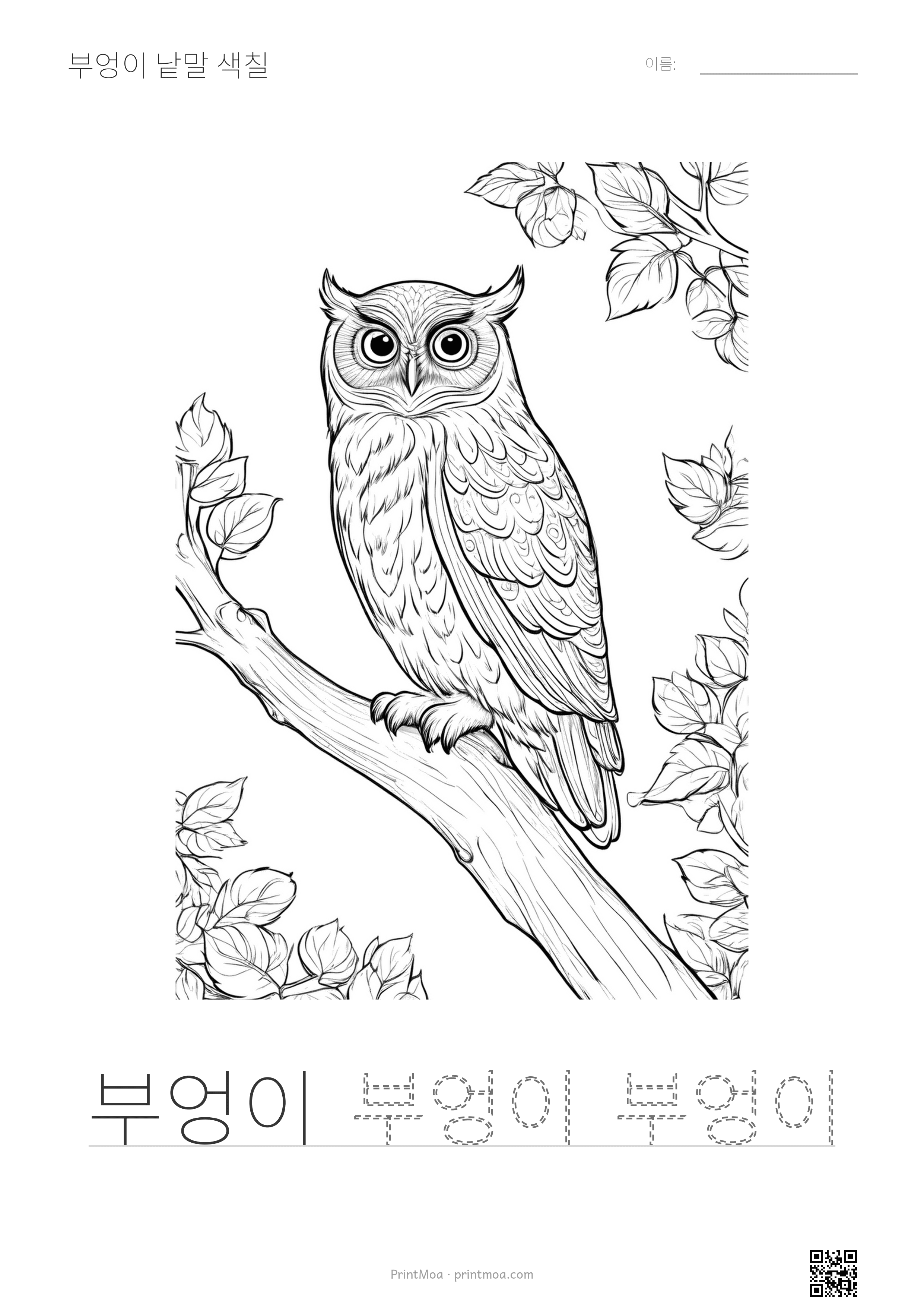 부엉이 낱말 색칠