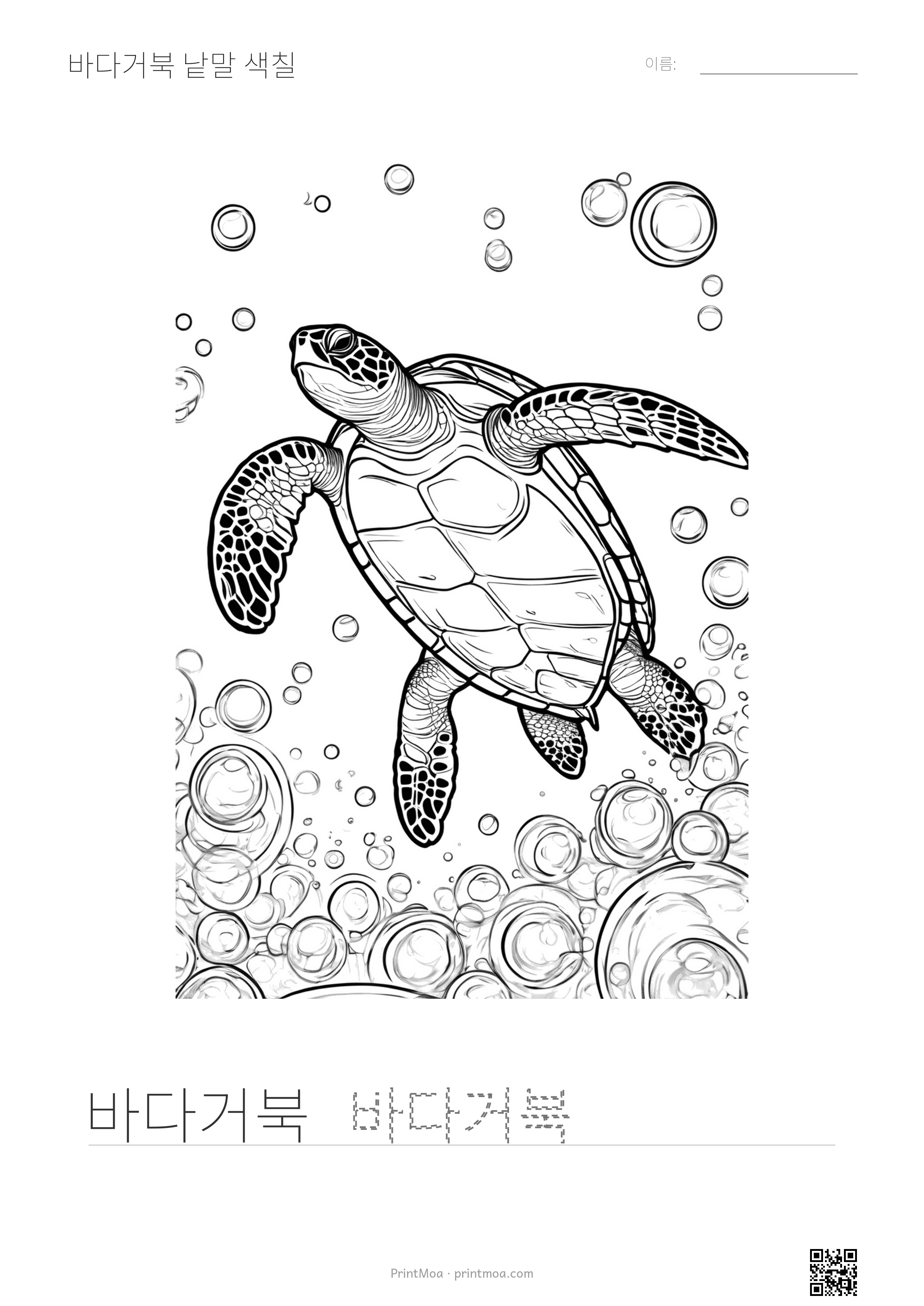 바다거북 낱말 색칠